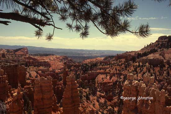 photo "When at Bryce, Look Down" tags: landscape, spring