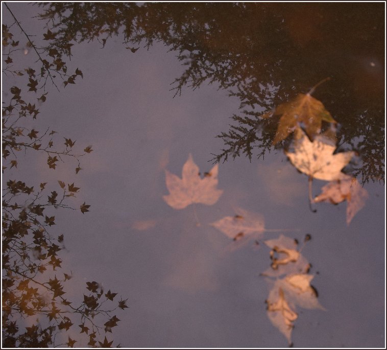 photo "***" tags: landscape, autumn, water