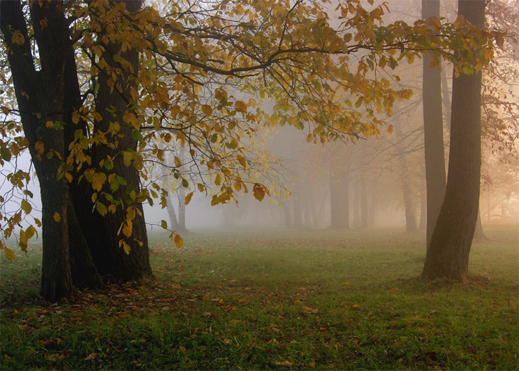 фото "Алхимия" метки: пейзаж, природа, осень