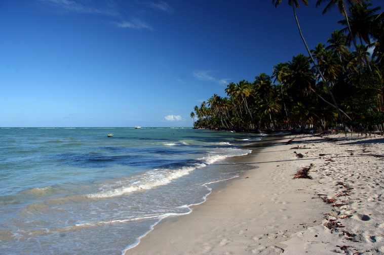 photo "Tamandare Beach (Permanbuco Brasil)" tags: travel, landscape, South America, summer