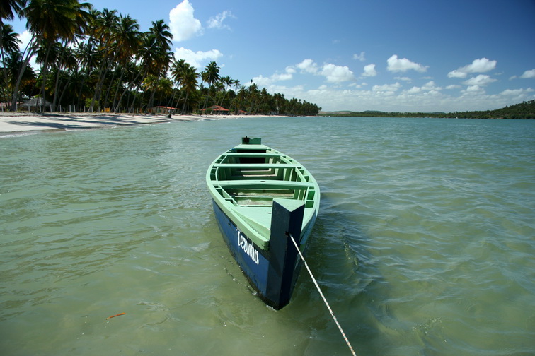 photo "Carneiros" tags: travel, nature, South America