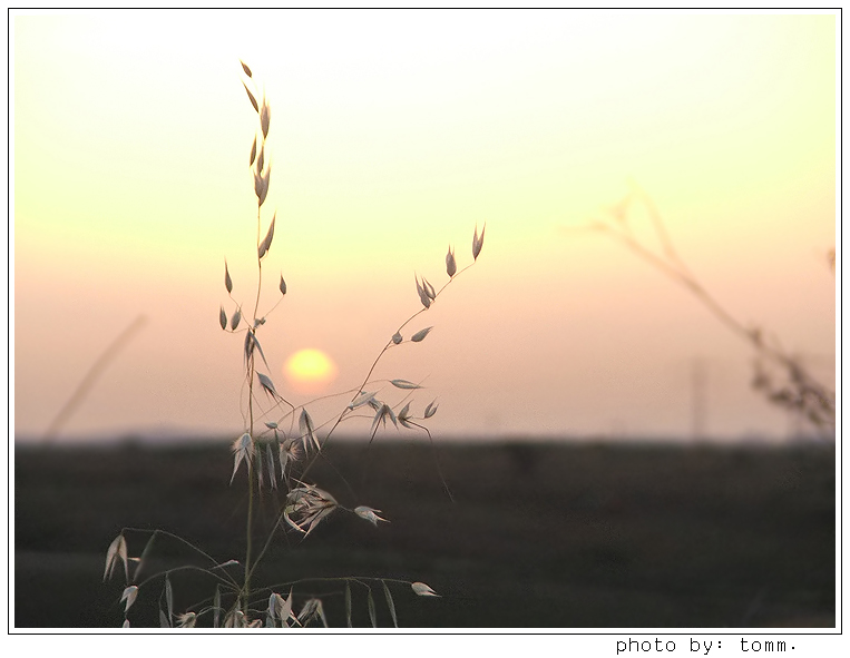 photo "Stuck in the middle with you" tags: landscape, sunset