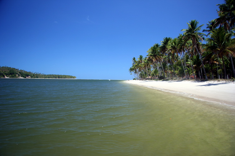 photo "Carneiros" tags: travel, landscape, South America, summer