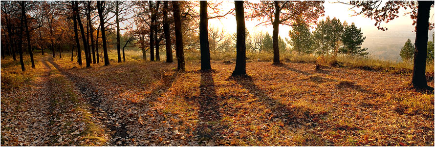 photo "Autumn light" tags: landscape, sunset