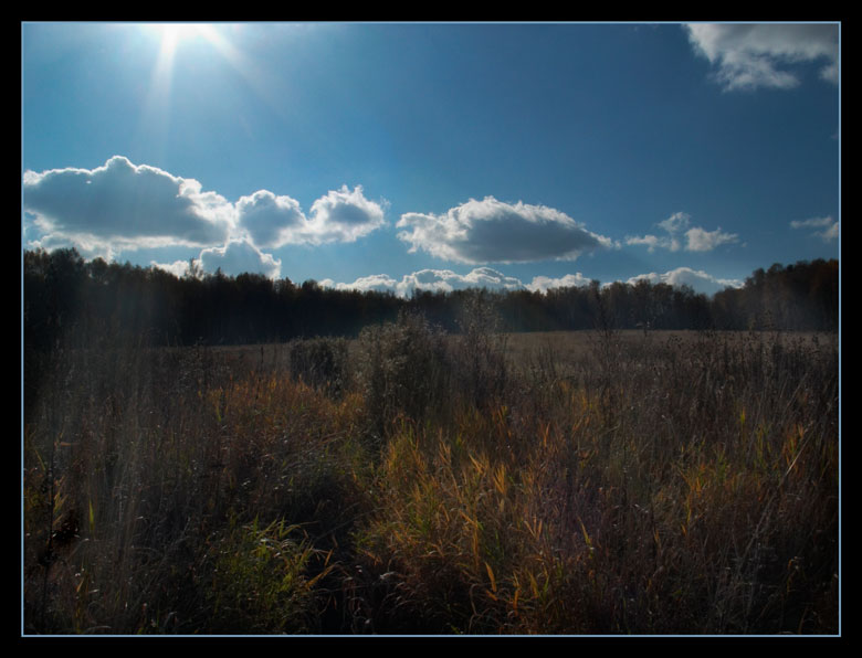photo "Ray of light" tags: landscape, autumn