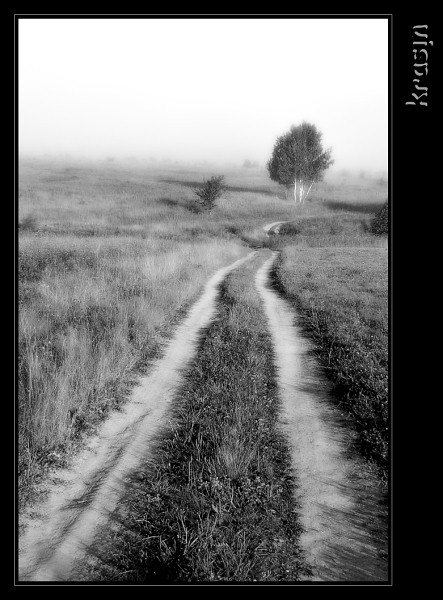 фото "i/red road..." метки: пейзаж, черно-белые, 