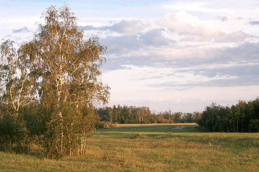 photo "Nature of "Yyc Khatyn"" tags: landscape, forest, summer