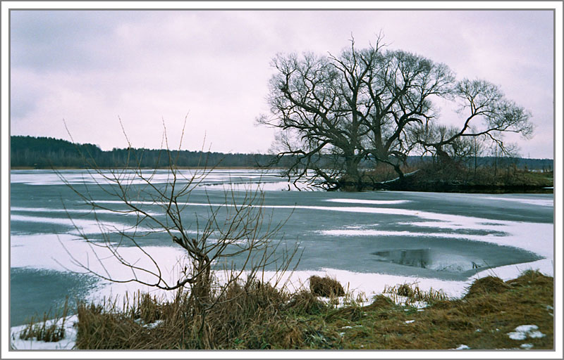 photo "Already winter" tags: landscape, autumn, winter