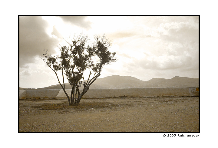 photo "Elba" tags: landscape, travel, Europe