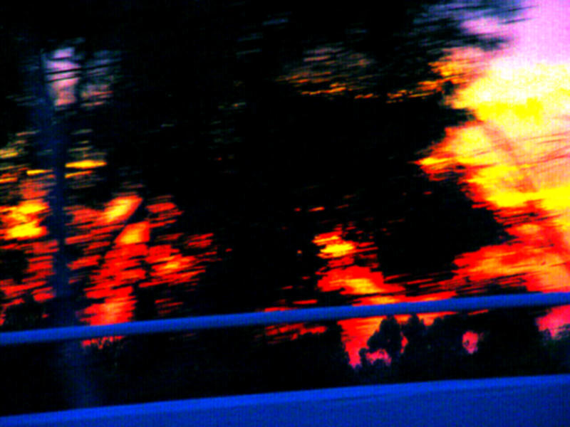 фото "Wild Fire" метки: репортаж, абстракция, 