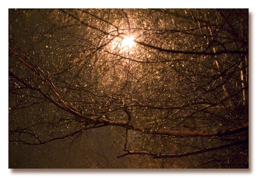 photo "December" tags: landscape, night, winter