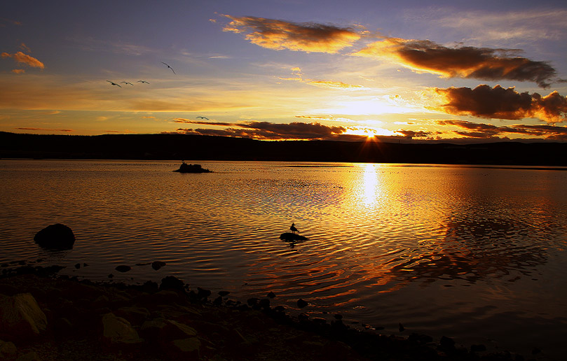 фото "*" метки: , 