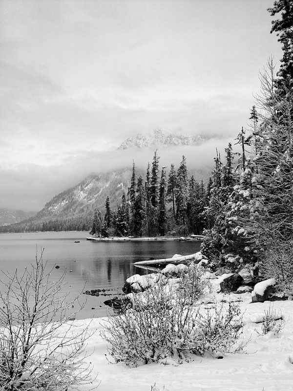 фото "White Silence" метки: пейзаж, вода, зима