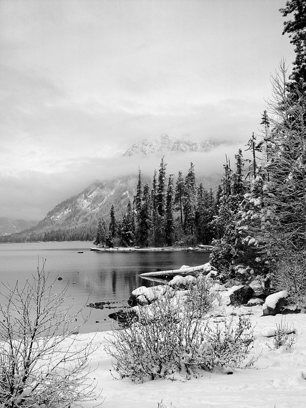 photo "White Silence" tags: landscape, water, winter