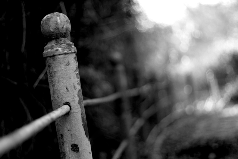 photo "***" tags: , 