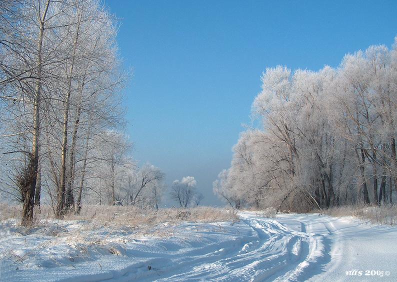 фото "***" метки: пейзаж, зима