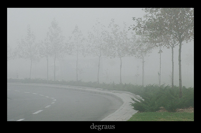 photo "~degraus~" tags: , 