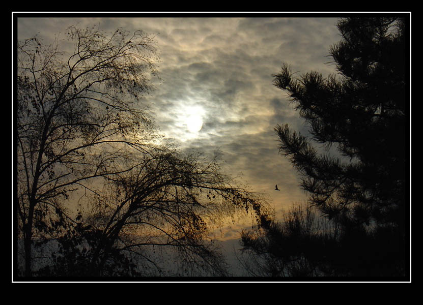 photo "Birdy" tags: landscape, autumn, clouds