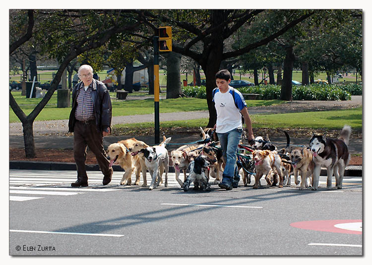 photo "Dog walker" tags: travel, reporting, South America