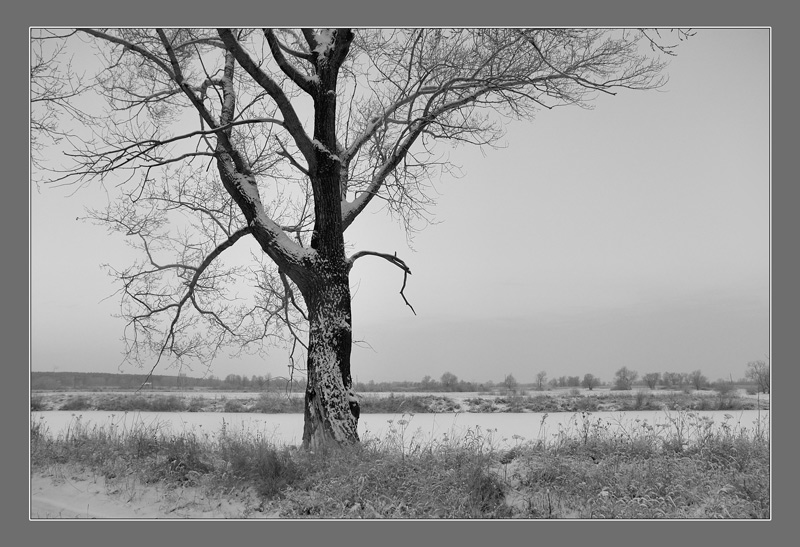 photo "Cool morning" tags: black&white, landscape, winter