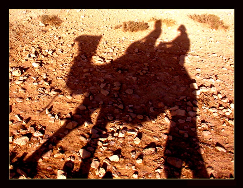 фото "шёл один верблюд..." метки: путешествия, жанр, 