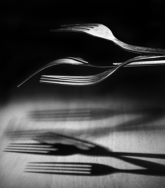 photo "mulitple personalities" tags: still life, 