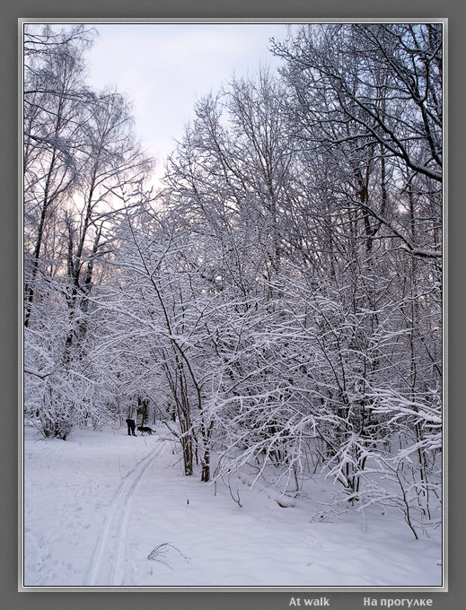 фото "На прогулке" метки: пейзаж, зима, лес