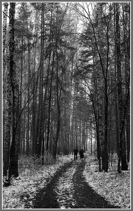 photo "It became cold" tags: landscape, black&white, winter