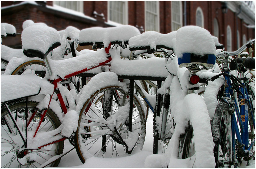 фото "On Friday, we had a little bit of snow=)" метки: разное, 