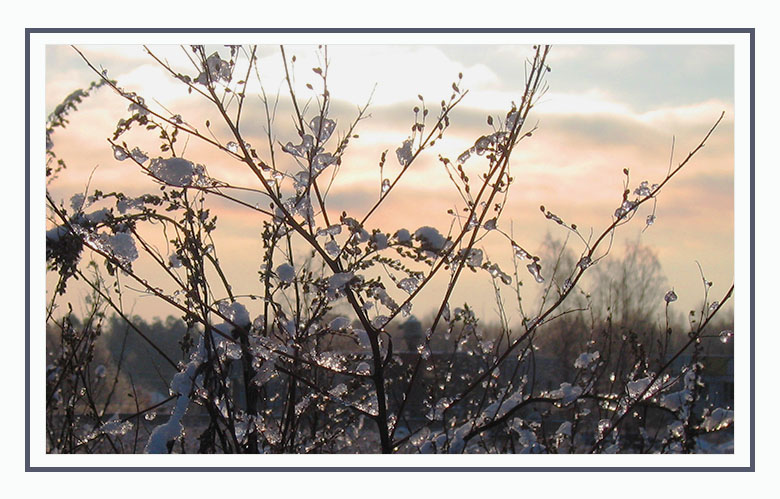 фото "Теплые тона холодной зимы" метки: пейзаж, макро и крупный план, зима