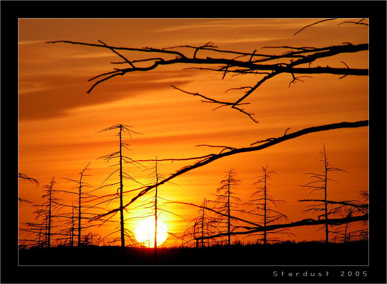 photo "Behind the Scenes of Sunset" tags: landscape, autumn, sunset