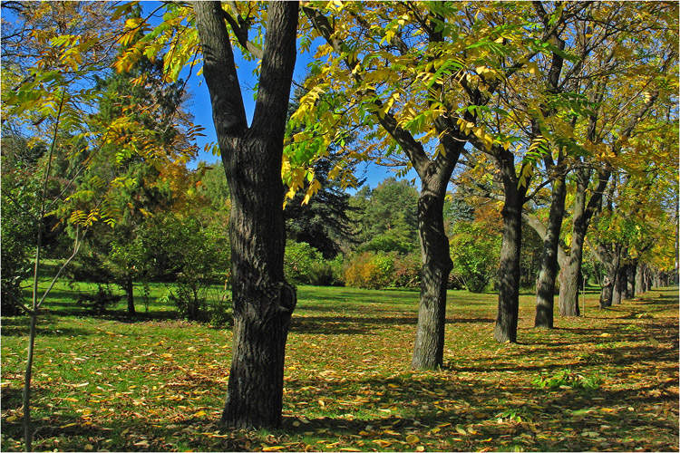 photo "Autumn" tags: landscape, autumn