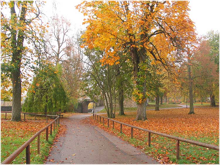 photo "Autumn colors" tags: landscape, travel, Europe, autumn