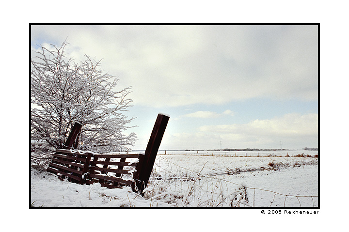 photo "Winter in Germany" tags: landscape, winter