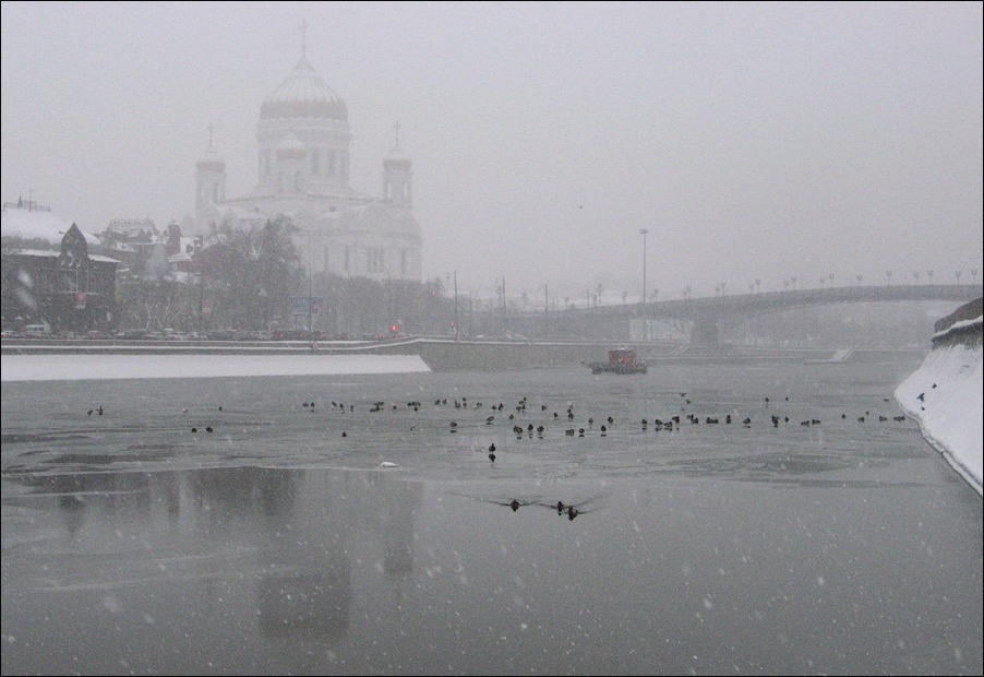 photo "Snowfall and ducks." tags: architecture, landscape, 