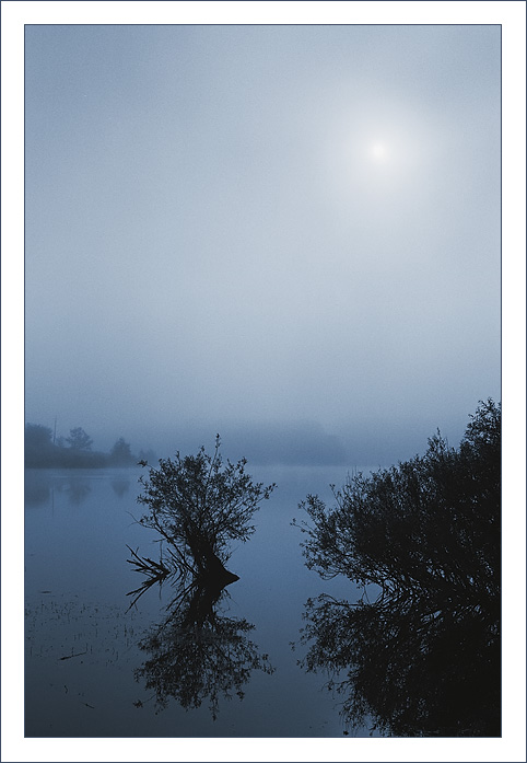 фото "foggy morning" метки: пейзаж, 