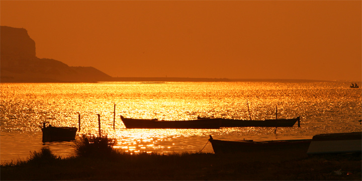 photo "Gold Colors" tags: landscape, sunset