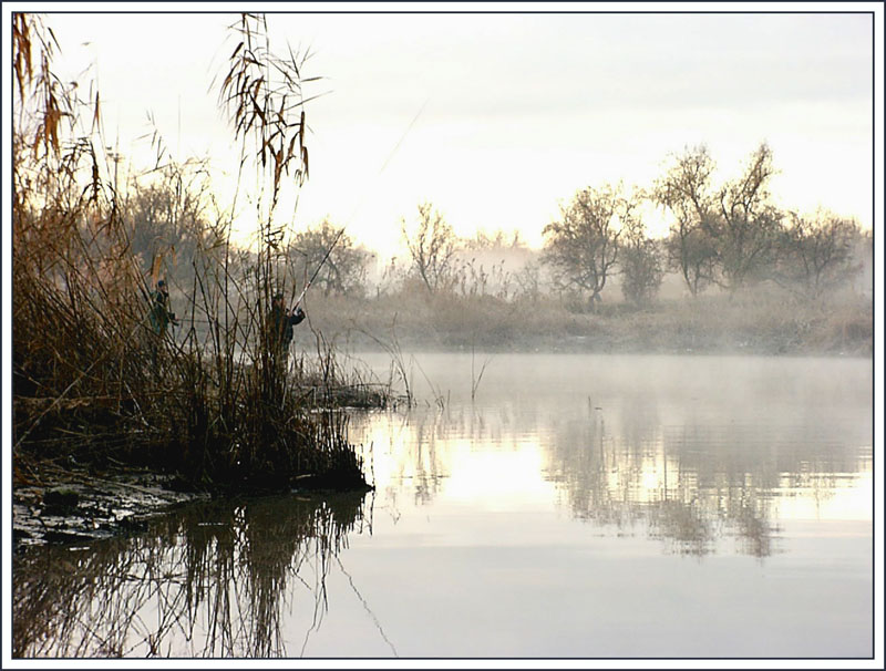 photo "Late autumn" tags: landscape, autumn