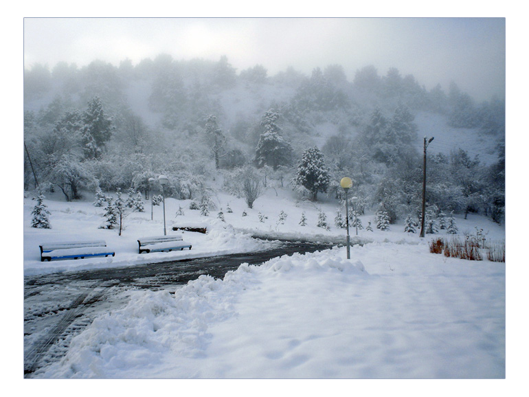 photo "***" tags: landscape, forest, winter