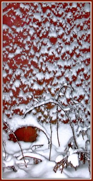 photo "Winter panel" tags: still life, misc., 