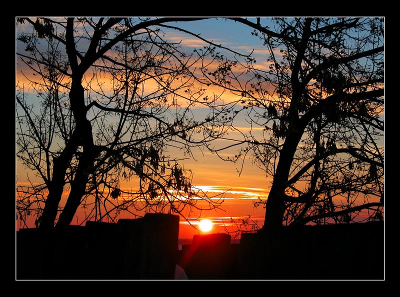 photo "After snowfall" tags: landscape, sunset, winter