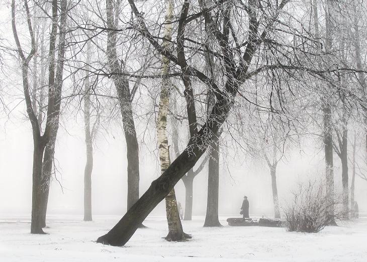 photo "***" tags: landscape, winter