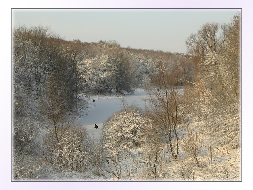 фото "Зимний парк" метки: пейзаж, природа, зима