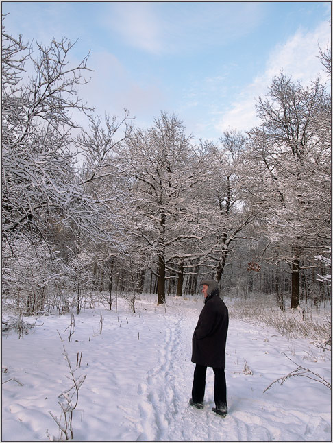 photo "When trees became small...  :)" tags: landscape, forest, winter