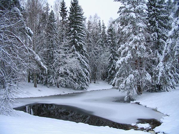 photo "ice-hole" tags: nature, landscape, winter