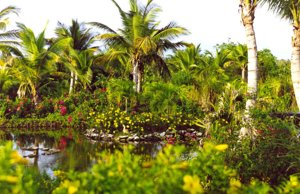 фото "Красоты Доминиканы" метки: пейзаж, 
