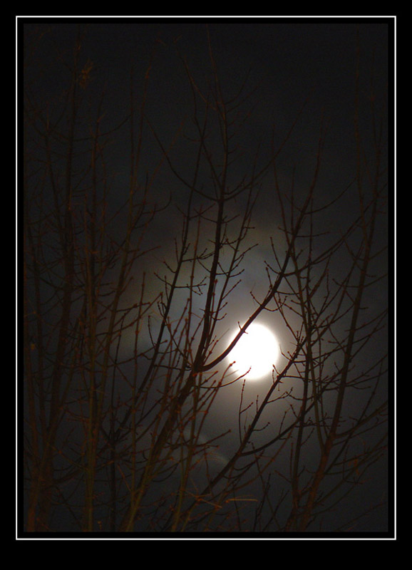 photo "The Moon 2" tags: landscape, night
