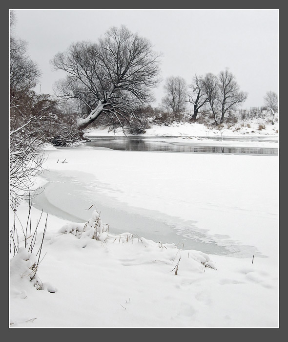 photo "The Protva river" tags: landscape, water, winter