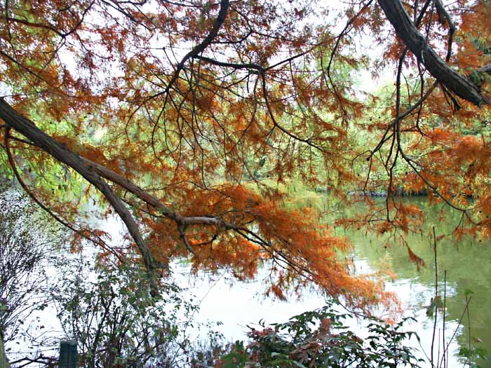 фото "***" метки: пейзаж, вода