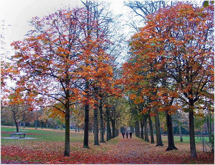 photo "Autumn colors#2" tags: landscape, travel, Europe, autumn